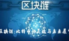 区块链：比特币的灵魂与