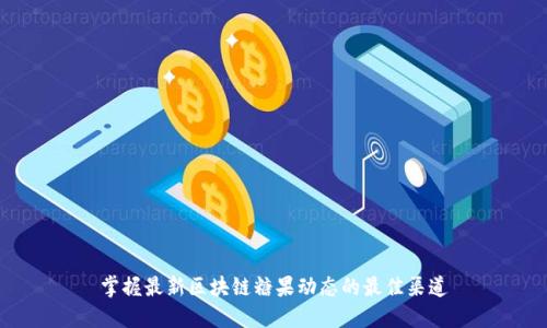 掌握最新区块链糖果动态的最佳渠道