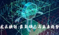 姚小龙区块链：最新动态与未来趋势解析