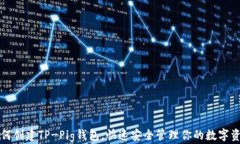 如何创建TP-Pig钱包，快速安全管理你的数字资产
