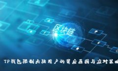: TP钱包限制大陆用户的背后原因与应对策略