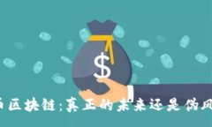 :无币区块链：真正的未来还是伪风口？