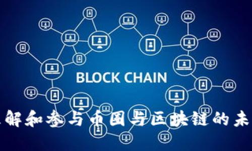 如何理解和参与币圈与区块链的未来发展