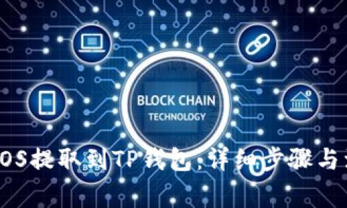 如何将EOS提取到TP钱包：详细步骤与注意事项