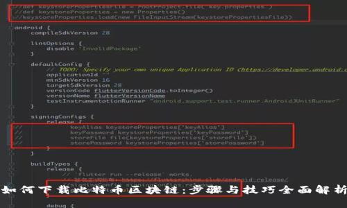 如何下载比特币区块链：步骤与技巧全面解析