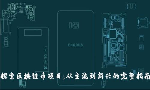 探索区块链币项目：从主流到新兴的完整指南