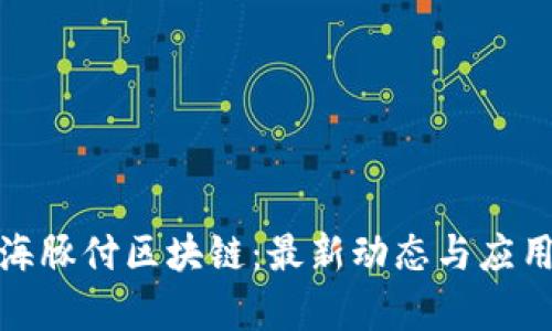 探索海豚付区块链：最新动态与应用前景