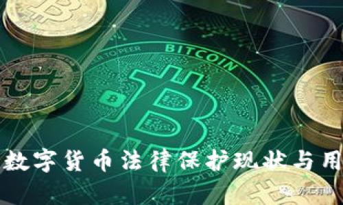 TP钱包里的数字货币法律保护现状与用户权益解析