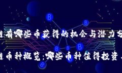 区块链有哪些币获得的机会与潜力分析区块链币