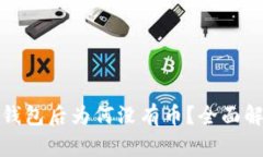 : TP钱包导入钱包后为何没有币？全面解析及解决