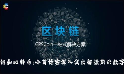 区块链和比特币：小菊博客深入浅出解读新兴数字经济