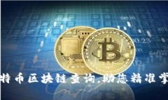 全面解析比特币区块链查询，助您精准掌握交易