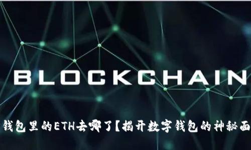 TP钱包里的ETH去哪了？揭开数字钱包的神秘面纱