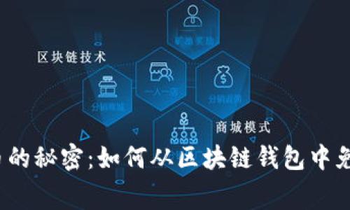 挣取加密货币的秘密：如何从区块链钱包中免费获得币种？