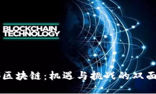 成都区块链：机遇与挑战的双面人生