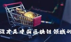 突破迷雾：谁才是中国区块链领域的真正巨头？