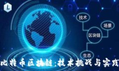  掌握比特币区块链：技术挑战与实践反思
