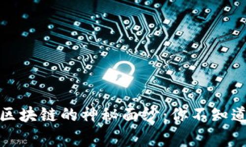 揭开比特币区块链的神秘面纱：你不知道的背后故事