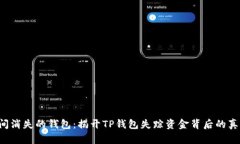 瞬间消失的钱包：揭开TP钱包失踪资金背后的真相