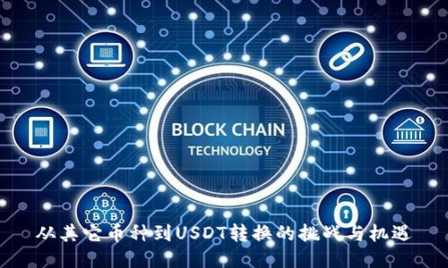 从其它币种到USDT转换的挑战与机遇