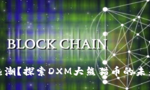 执迷于热潮？探索DXM大熊猫币的未来与风险