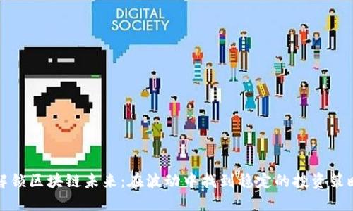 解锁区块链未来：在波动中找到稳定的投资策略