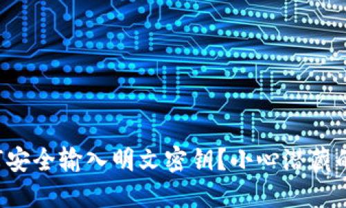 TP钱包如何安全输入明文密钥？小心潜藏的风险隐患！