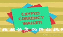  重装TP钱包？数据恢复的终极挑战与应对策略！