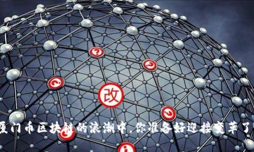 在厦门币区块链的浪潮中，你准备好迎接变革了吗？