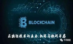 区块链技术的未来：机遇与挑战并存