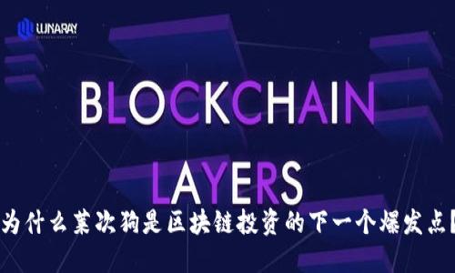 为什么莱次狗是区块链投资的下一个爆发点？