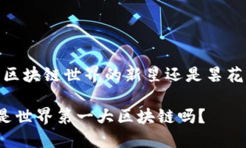 派币：区块链世界的新星还是昙花一现？

派币是世界第一大区块链吗？