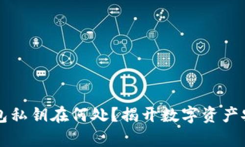 你的TP钱包私钥在何处？揭开数字资产安全的真相