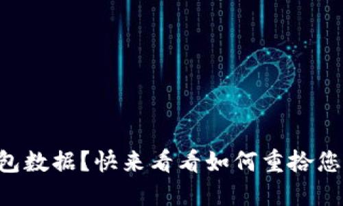 丢失了TP钱包数据？快来看看如何重拾您的数字资产！