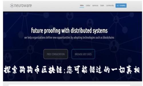 探索狗狗币区块链：您可能错过的一切真相