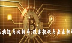 区块链与比特币：技术挑战与未来机遇