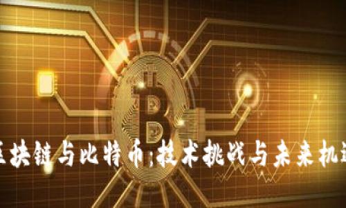 区块链与比特币：技术挑战与未来机遇