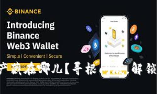 TP钱包里的资产藏在哪儿？寻根问底，解锁你的数字财富!