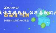   如何保卫你的资金：TP钱包跑路背后的真相与应