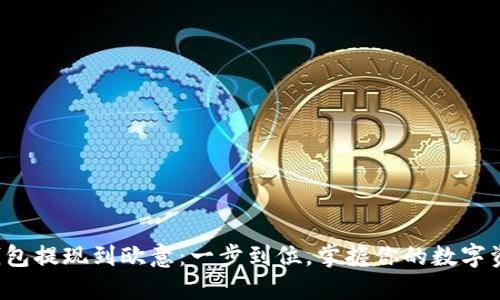 TP钱包提现到欧意：一步到位，掌握你的数字资产！