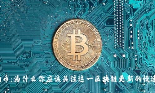 狗狗币：为什么你应该关注这一区块链更新的慢速度？