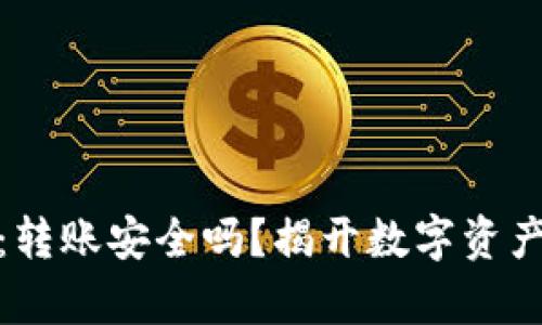 TP观察钱包：转账安全吗？揭开数字资产的神秘面纱