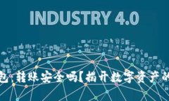 TP观察钱包：转账安全吗？揭开数字资产的神秘面