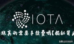 TP钱包转账真的需要手续费吗？揭秘背后的真相！