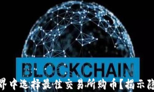 
如何在区块链世界中选择最佳交易所购币？揭示隐藏的挑战与机遇