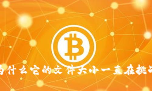 比特币区块链：为什么它的文件大小一直在挑战你的存储空间？