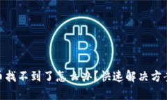 tp钱包买的币找不到了怎么办？快速解决方案与预