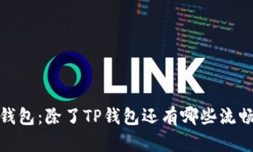 探索最佳加密钱包：除了TP钱包还有哪些流畅又安全的选择