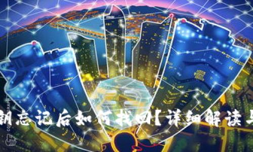 TP钱包密钥忘记后如何找回？详细解读与实用指南