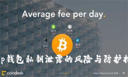 : tp钱包私钥泄露的风险与防护措施